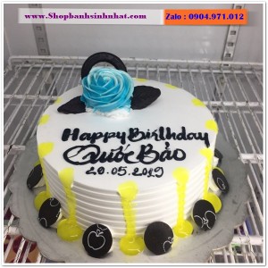 Bánh Sinh Nhật Sữa Tươi - AA412